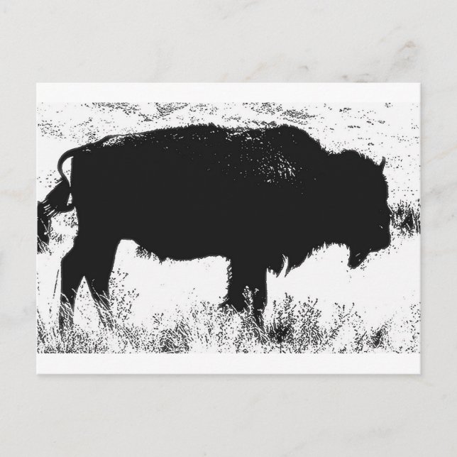Bison - Buffalo Vykort (Framsida)