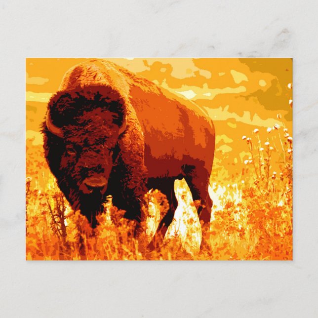 Bison / Buffalo Vykort (Framsida)