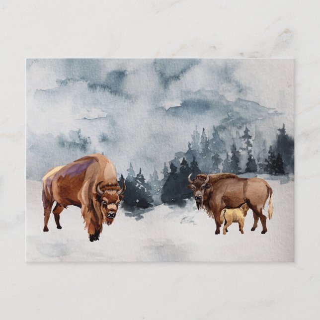 Bison Buffalo Watercolor liggande vinter Helg Vykort (Framsida)
