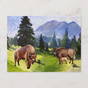 Bison Buffel Vattenfärg Landskap Helg Vykort