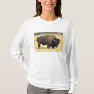 Bison Bull in Yellowstone National Tee Shirt