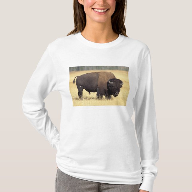 Bison Bull in Yellowstone National Tee Shirt (Framsida)