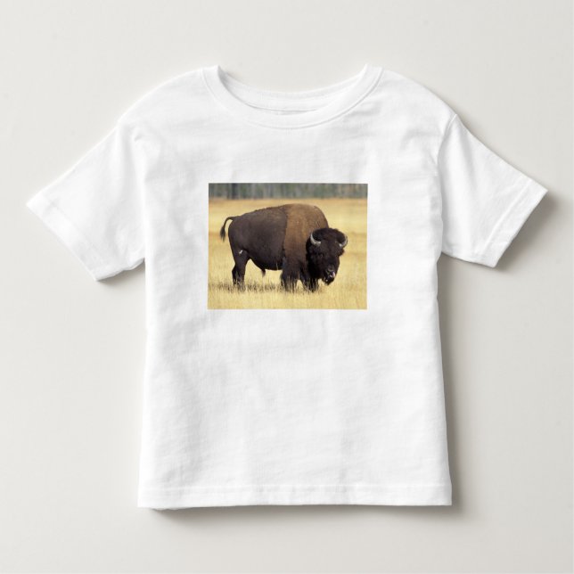 Bison Bull in Yellowstone National Tee Shirt (Framsida)