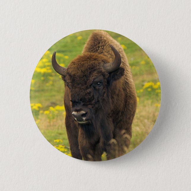 Bison Button Badge Knapp (Framsida)