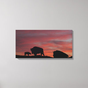 Bison Canvastryck