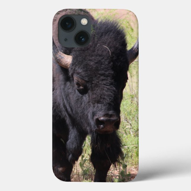 Bison Close Up iphone case (Baksida)