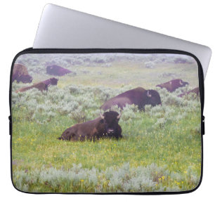Bison Dream Laptop Fodral