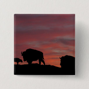 Bison-familjen Knapp