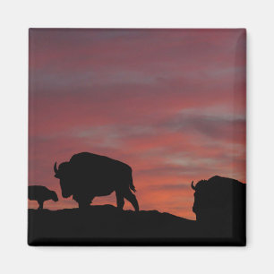 Bison-familjen Magnet