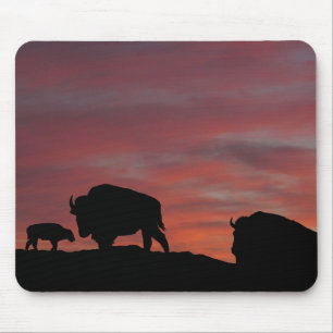 Bison-familjen Musmatta