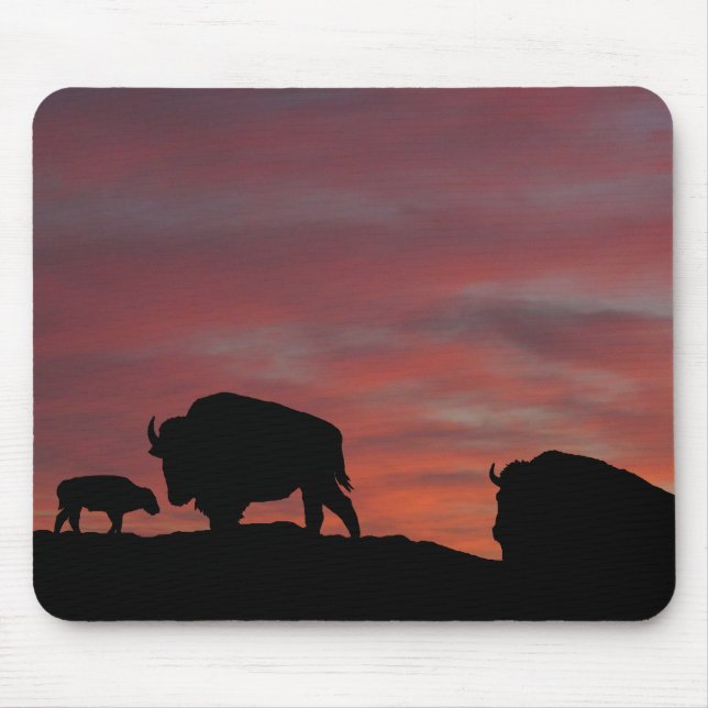 Bison-familjen Musmatta (Framsidan)