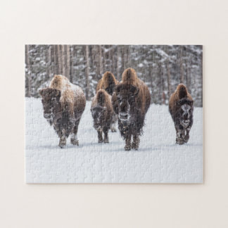 Bison Family i Snö Jigszle Puzzle Pussel