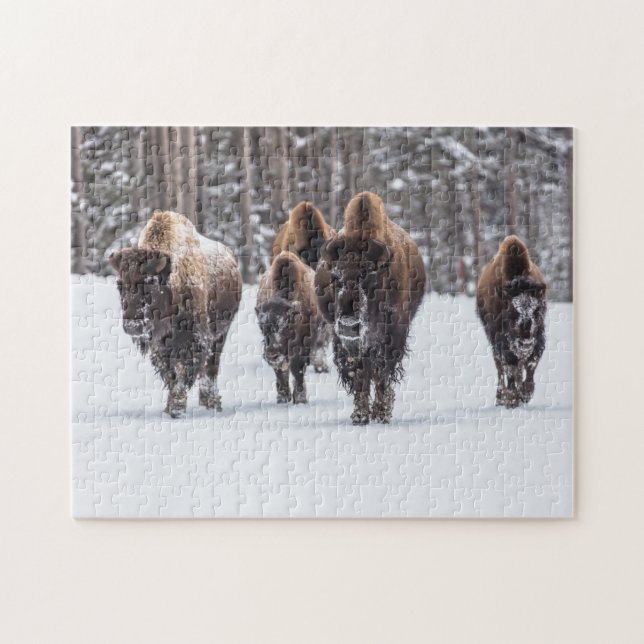 Bison Family i Snö Jigszle Puzzle Pussel (Horisontell)