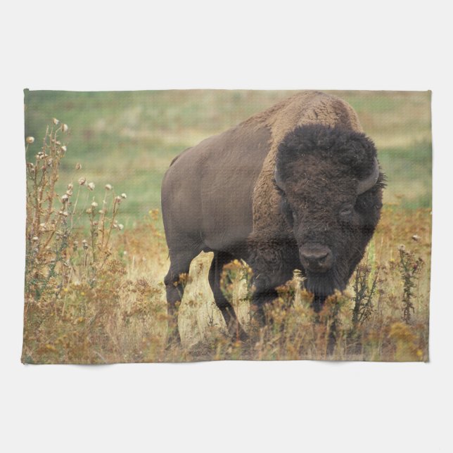 Bison-foto Kökshandduk (Horisontell)