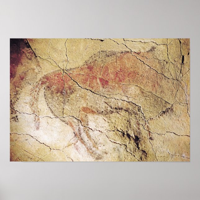 Bison från Caves i Altamira, c.15000 BC Poster (Framsidan)