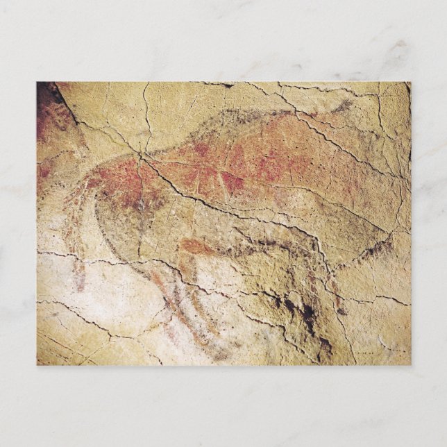 Bison från Caves i Altamira, c.15000 BC Vykort (Framsida)