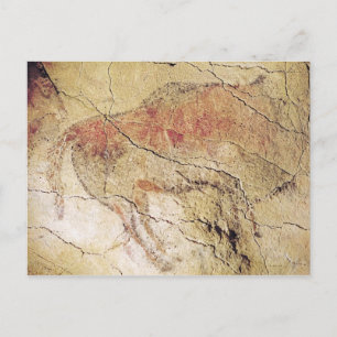 Bison från Caves i Altamira, c.15000 BC Vykort
