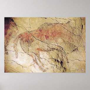 Bison från grottorna på Altamira, c.15000 BC Poster