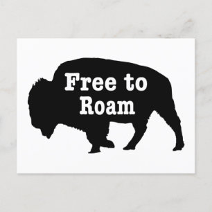 Bison Free to Roam Vykort