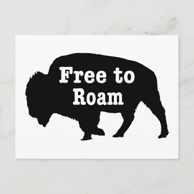 Bison Free to Roam Vykort (Framsida)