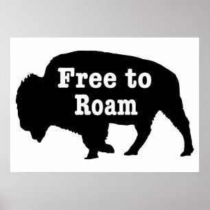 Bison Fri att ströva Poster