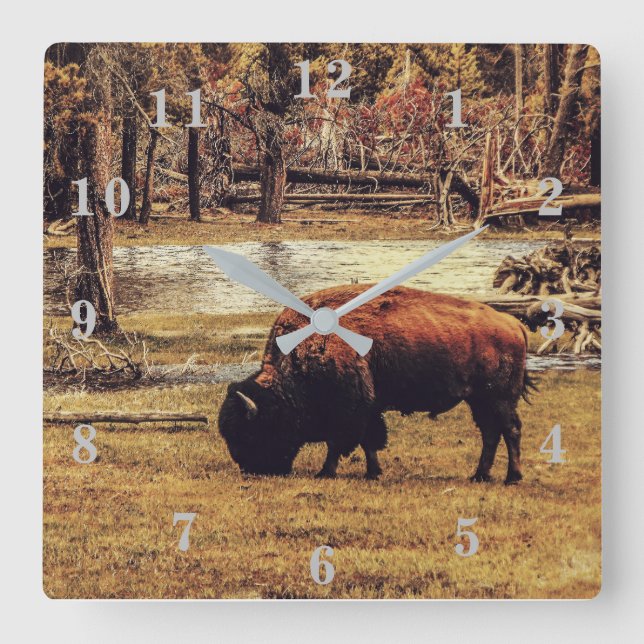 Bison Fyrkantig Klocka (Framsida)