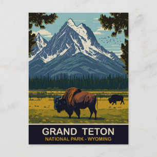 Bison, Grand Teton naturpark, Wyoming, Resa Vykort