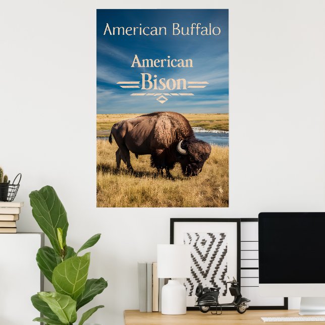 Bison Grazing by the River Poster (Hemmakontoret)