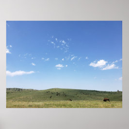Bison Herd, Custer State Park, South Dakota Poster