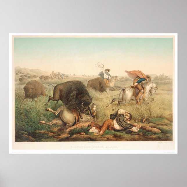 Bison Hunt (0008A) Poster (Framsidan)