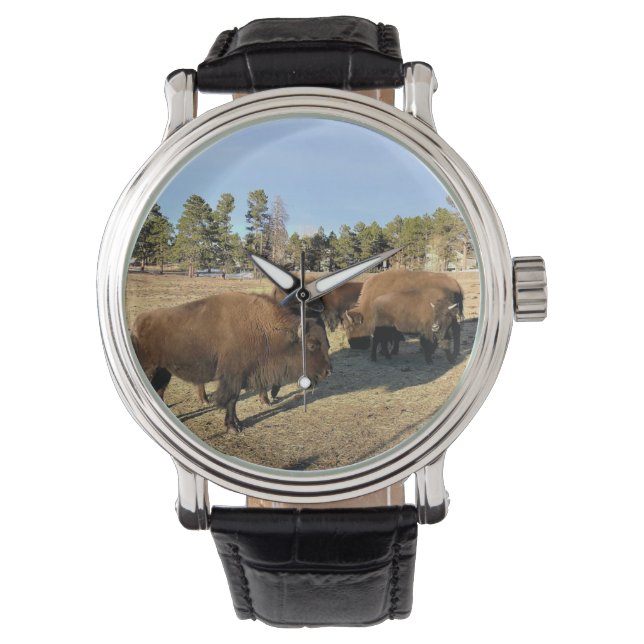 Bison i Colorado Armbandsur (Framsida)
