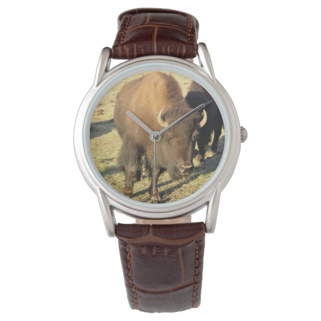 Bison i Colorado Armbandsur (Framsida)