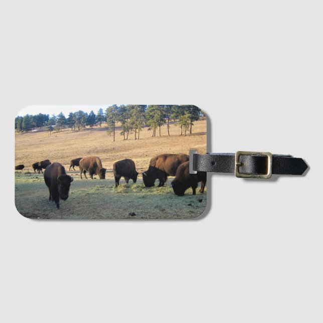 Bison i Colorado Bagagebricka (Framsida horisontal)