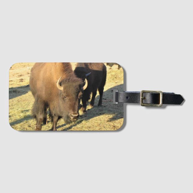 Bison i Colorado Bagagebricka (Framsida horisontal)