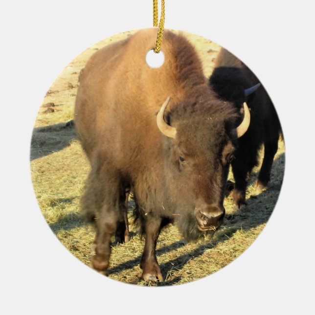 Bison i Colorado Julgransprydnad Keramik (Framsidan)