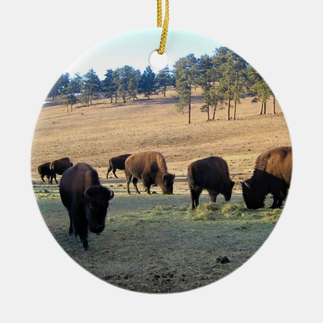 Bison i Colorado Julgransprydnad Keramik (Framsidan)