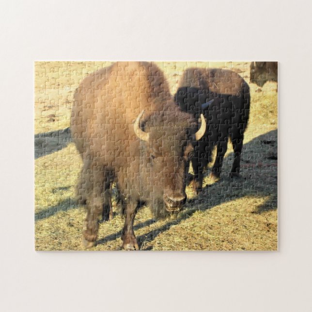 Bison i Colorado Pussel (Horisontell)
