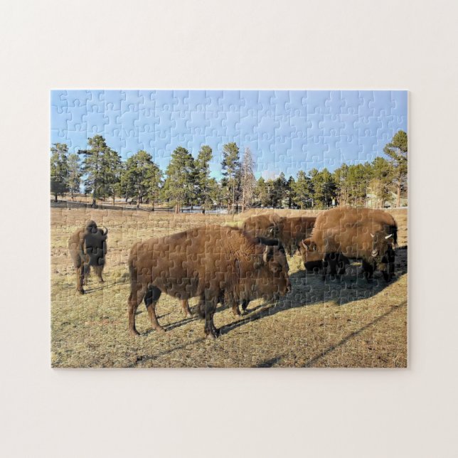 Bison i Colorado Pussel (Horisontell)