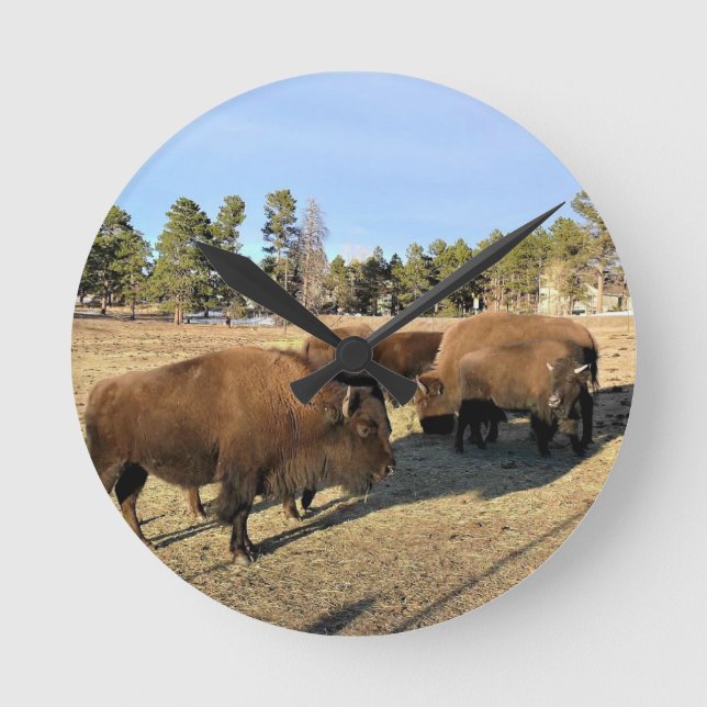 Bison i Colorado Rund Klocka (Framsida)