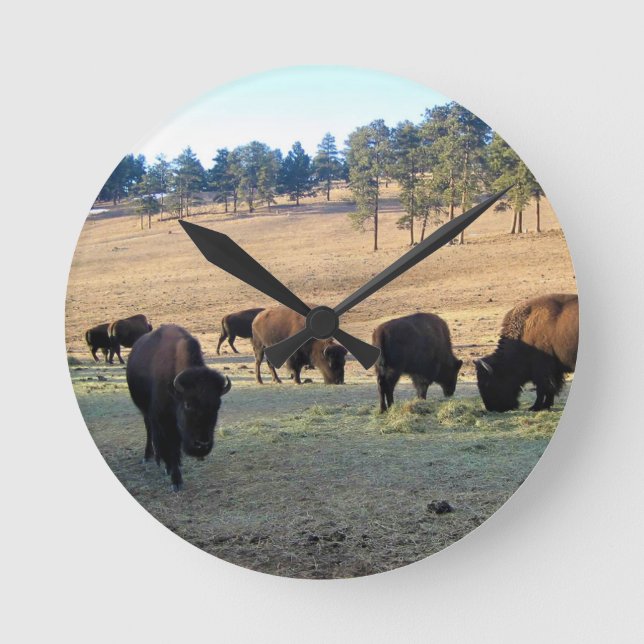 Bison i Colorado Rund Klocka (Framsida)