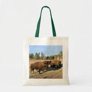 Bison i Colorado Tygkasse