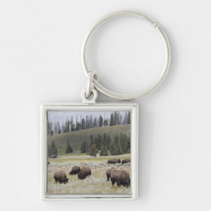 Bison i den Hayden dalen av Yellowstone Fyrkantig Silverfärgad Nyckelring