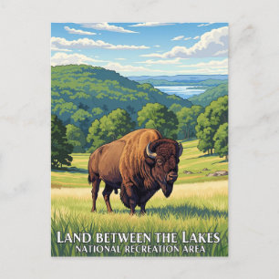 Bison i Land Between the Lakes Kentucky Vykort
