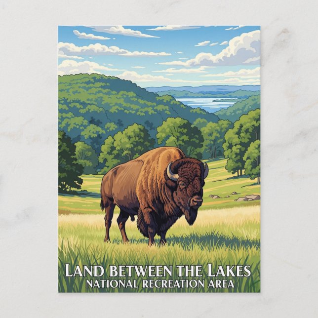 Bison i Land Between the Lakes Kentucky Vykort (Framsida)