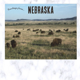 Bison i Nebraska Vykort