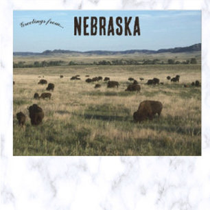 Bison i Nebraska Vykort