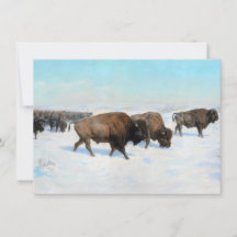 Bison i Snö (av Rosa Bonheur)