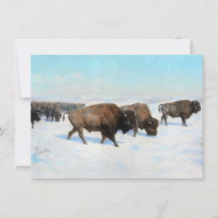 Bison i Snö (av Rosa Bonheur) Kort