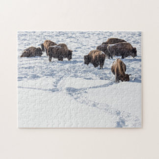 Bison i Snö Jigszawa Puzzle Pussel