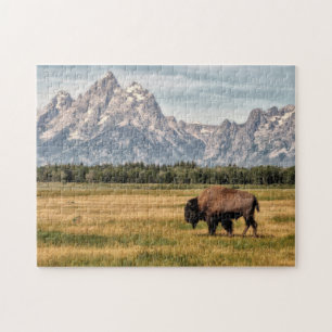 Bison i Tetonsen Pussel